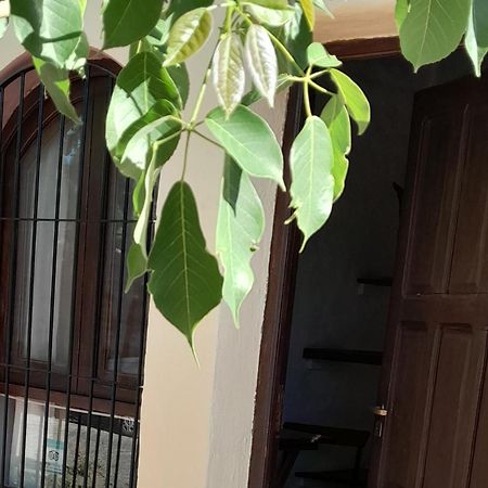 La Montana Panzió Cafayate Kültér fotó